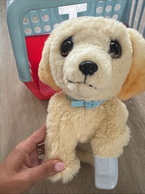 Little live pet hurt dog